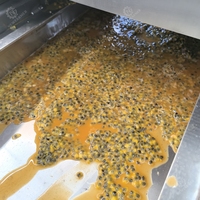 Extracteur Industriel Haute Efficacité 1T à Double Rouleau pour Jus et Pulpe, Moteur 5500W 380V pour Jus de Pomme et d'Orange