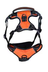 Chien Coller Police Crochet Ruffwear Luxe Véritable Diamant Blancs Duty Mignon Anti Formation Étanche Chien Harnais Et Laisse - Product Image 6