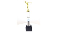 Trophée de golf classique en métal pour homme, 12,5 pouces, gravure personnalisée écologique pour célébrer des réalisations de golf remarquables – Offre Spéciale