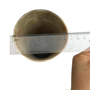 Cuerno de buey real hecho a mano vidrio de cuerno natural pulido con adorno de latón para servir cualquier cerveza para fiestas hechas por World Craft Impex - Product Image 3