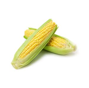 ข้าวโพดขาวเหลืองออร์แกนิคคุณภาพสูง 100% ข้าวโพดแห้งพรีเมียม ขายส่งโดยตรง - Product Image 1