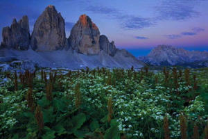 โพเลนต้าชิปส์ รสโทเมโทและโหระพา 65 กรัม ขนมขบเคี้ยวจากข้าวโพด GVERDI อาหารอิตาเลียน ผลิตในอิตาลี อาหารเรียกน้ำย่อย ขนมขบเคี้ยวรสเค็ม - Product Image 6