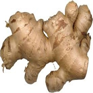 Premium Quality <b>Ginger</b> Shipped in 10kg Cartons - Product Image 2