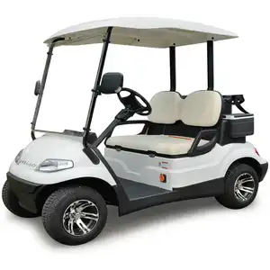 Lifted Golf Cart 6 Seater Go Kart 48V Motor with Curtis 1232SER