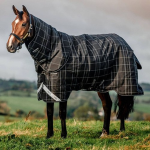 Tapis d'hiver pour chevaux de qualité supérieure en polyester abordable imperméable et sur mesure pour la sécurité au chaud et aux intempéries - Product Image 6