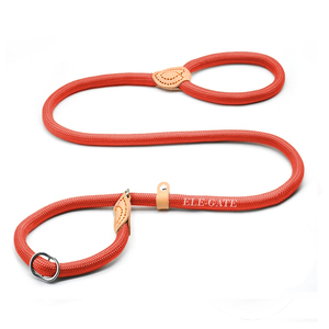 Guinzaglio da Addestramento in Nylon Antiscivolo Durevole per Cani, Corda Retrattile in Ferro, Personalizzabile, Lusso, Stile Western, Solido, Semplice, Classico - Product Image 5