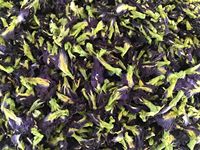 Wild Gecultiveerde Gedroogde Vlinder Blauwe Erwten Kruidenthee Gedehydrateerde Blauwe Bloemen Voor Allergie Verlichting Bloed Vacuüm Verpakte Flessen Drums