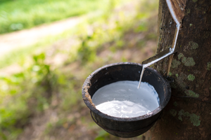 LATEX DE CAOUTCHOUC NATUREL/FORT ET ÉLASTIQUE/FABRIQUÉ AU VIETNAM - Product Image 6