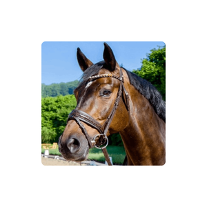 Nouveau arrivé exportateur de bride en cuir de haute qualité fabricant personnalisé confort XS bride à mors pliable - Product Image 1