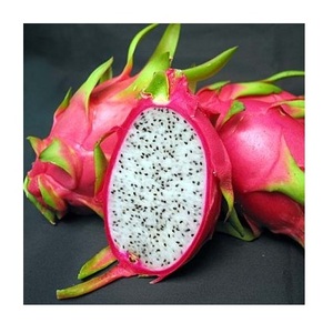 Stock en vrac de fruits du dragon frais de qualité supérieure à prix de gros bon marché - Product Image 2