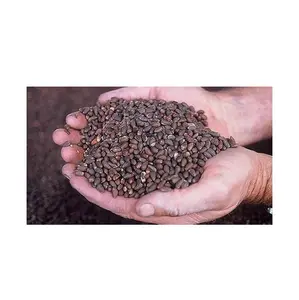 cotton seeds for animal feed