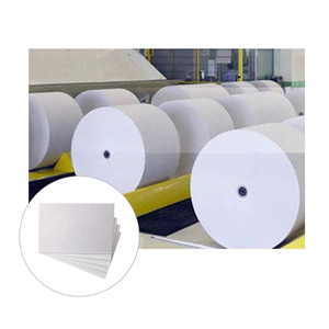 Rollos de placa FBB recubierta de PE, Color blanco, duradero, para embalaje de alimentos y bebidas, compra a buen precio - Product Image 2