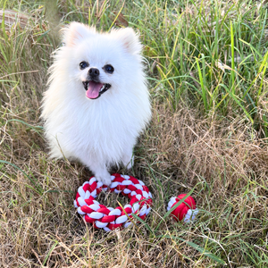 Jouet à mâcher pour chien en forme de poing de singe de Noël pour le plaisir festif de Fido ! - Product Image 2