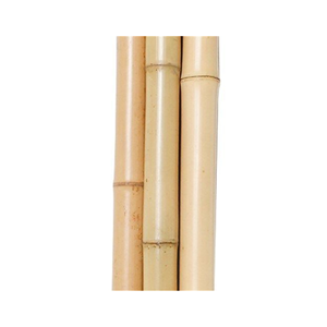 Poteau de bambou 100% couleur naturelle/poteau de bambou nature piquets de poteau de bambou/poteaux de bambou Eco vietnamiens - Product Image 2
