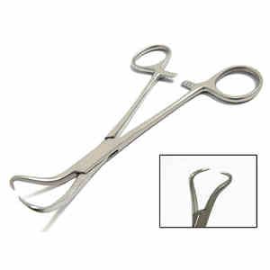 Instruments Produits Dentaires Équipement Médical Vétérinaire Premium Acier Inoxydable Backhaus Serviette Pinces Pinces Chirurgicales - Product Image 6