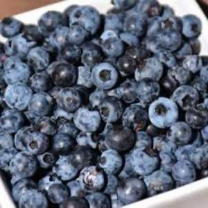 Myrtilles Fraîches de Qualité Supérieure pour l'Exportation, Variété Highbush Classe I, en Vrac - Product Image 6