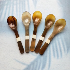 Ensemble de cuillère en corne de haute qualité, fournisseur de gros, articles de service naturels pour servir le caviar - Product Image 1