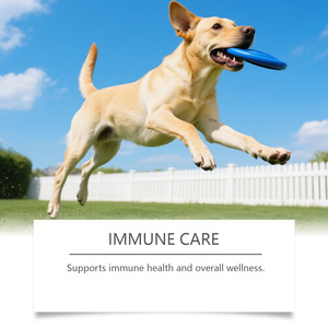 DogDigestiveCare Probióticos Masticables Blandos para <span class=keywords><strong>Perros</strong></span> y Gatos, Alta Proteína, Apoyo Natural para la Salud Intestinal, Absorción Rápida, Apoyo Inmunológico, Vitaminas - Product Image 2