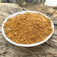 Poudre de cannelle biologique de qualité supérieure Type de Ceylan du Vietnam Épices et herbes séchées et traitement brut