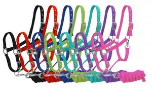 Premium HE5600 English Dressage Horse Halter Australian <b>Style</b> <b>Gel</b> Padded Nylon Comfort Custom Logo 100% QC Approved 10-18.5" - Product Image 3