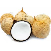 Kokosnoot Hoge Kwaliteit Biologische Witte Gedroogde Kokosnoot Kopra Zongedroogd Hele Fruit Poeder Natuurlijke Conservering Enkele Kruiden & Specerijen