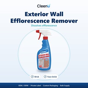 Spray Rimuovi Efflorescenza 500ml, Detergente per Muri in Mattoni, Rimuovi Efflorescenza da Cemento e Muratura, Vendita all'Ingrosso - Product Image 1