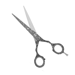 Ciseaux de coiffeur en acier inoxydable de qualité chirurgicale pour salon de coiffure ciseaux de coupe de cheveux de coiffeur enduits de papier avec repose-doigt argenté - Product Image 1