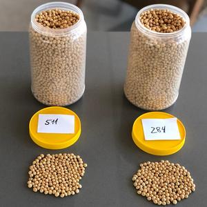 Organic Dried <b>Soybeans</b> Seeds 2026 Crop - Product Image 1