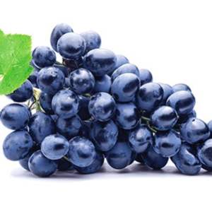 Uvas Negras Reales Fesh de Otoño - Uvas de Mesa Grandes Sin Semillas Clase 1, Duración de 30+ Días, para Exportación Mayorista Premium - Product Image 1