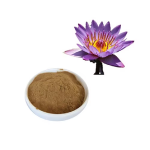 Meilleur fournisseur d'extrait de fruit de lotus sauvage pur à 100% en poudre, emballé sous vide en bouteille/tambour, en provenance d'Inde aux meilleurs prix - Product Image 3