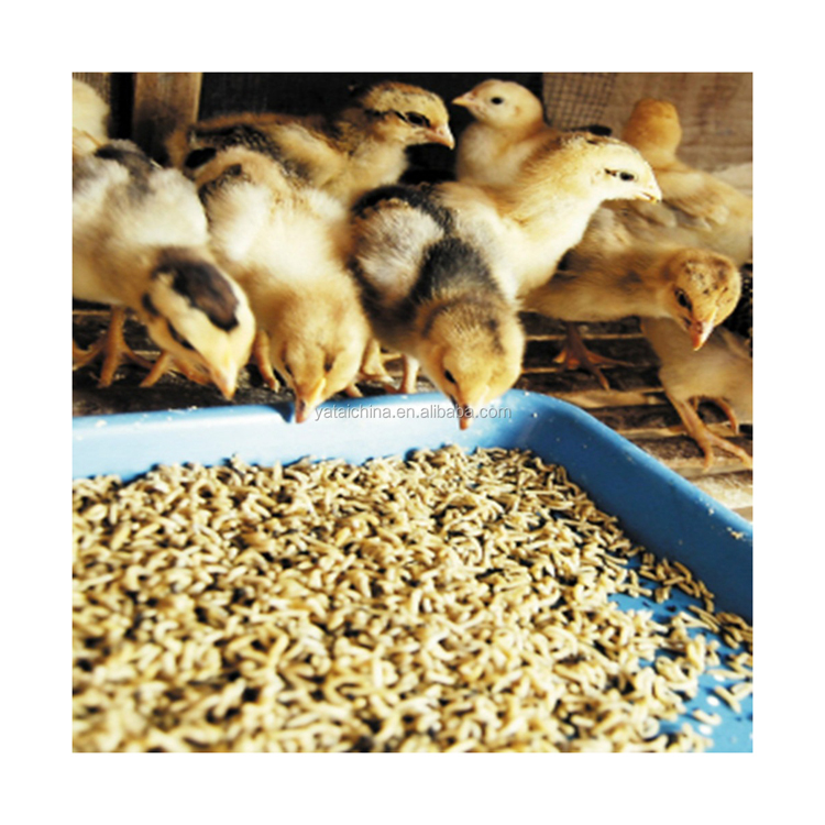 High Standard Quality 65% Poultry Broiler Feed 75% Protein Fish Meal for Horse Cattle Pig Use