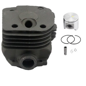 <b>Gasoline</b> Engine Type Product - Product Image 1