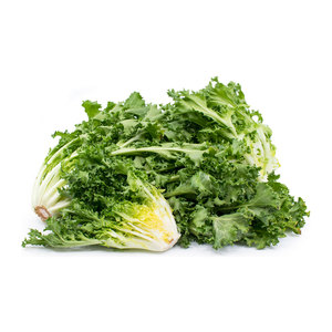 Chicorée d'endives en gros: Légumes à feuilles amères de qualité supérieure du fournisseur en vrac - Product Image 1