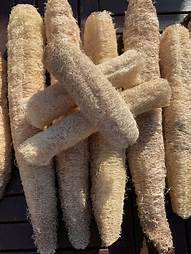 100% Organic Loofah Whole Sustainable, exfoliación natural, alta calidad de VIET FARGIMEX - Product Image 2