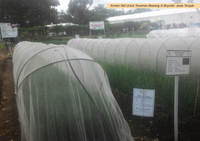 Jaring HDPE AgroPro Monofilament Rajut untuk Pertanian, Rumah Kaca, dan Penahan Panas Matahari