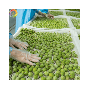 Dracontomelon Congelado Premium IQF, Fruta Verde Ácida, Origen Vietnam, Ingredientes Alimenticios Naturales de Alta Calidad al por Mayor para Exportación - Product Image 3
