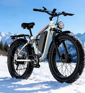 <b>Electric</b> <b>Bike</b> <b>Adults</b> 12V 70Ah 5000W Dual Motors 24'' Fat Tire Aluminum Disc Brake Fast 45mph 35-100 Mileage Full Suspension - Product Image 1