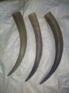 เขาสัตว์แกะสลักสำหรับดื่ม ขนาด 10-60 ซม. งานโบราณขัดเงา วัสดุธรรมชาติ ของสะสมงานศิลปะ ทำด้วยมือ ขายส่งจำนวนมาก - Product Image 2