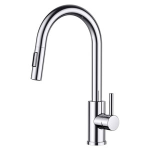 Mitigeur d'évier monocommande en acier inoxydable, style unique, couleur unie, en stock - Product Image 1