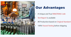 0445110524 Oem Nieuwe Diesel Common Rail Brandstofinjector Cri2 16 M2 Regelklep Mondstuk Voor 0445110418 0445110524 - Product Image 5