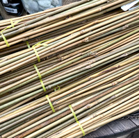Bâton de support de jardin naturel en bambou pour plantes, arbres et légumes | Fourniture de jardinage écologique durable