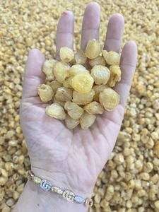 Dried Longan Fruit <b>Meat</b> No Additives for Clean Label Food Products and Healthy <b>Snack</b> Brands - Product Image 5