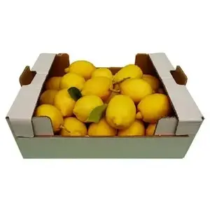 Organic Fresh seedless lime/green lemon fresh fruit without seed from Vietnam high quality wholesales 2024