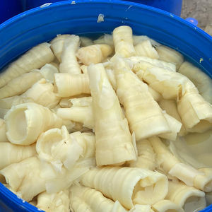 สามารถใช้ได้กับหน่อไม้เค็มปริมาณมาก - Product Image 1