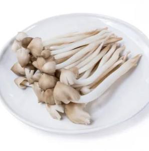 Champignon de termite séché naturel de qualité supérieure pour la vente en gros prix bon marché - Product Image 1