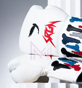 Ensemble de boxe d'entraînement professionnel 2026, logo personnalisé, équipement d'entraînement, ensemble de boxe, dernier modèle, ensemble de boxe d'entraînement Fly - Product Image 3