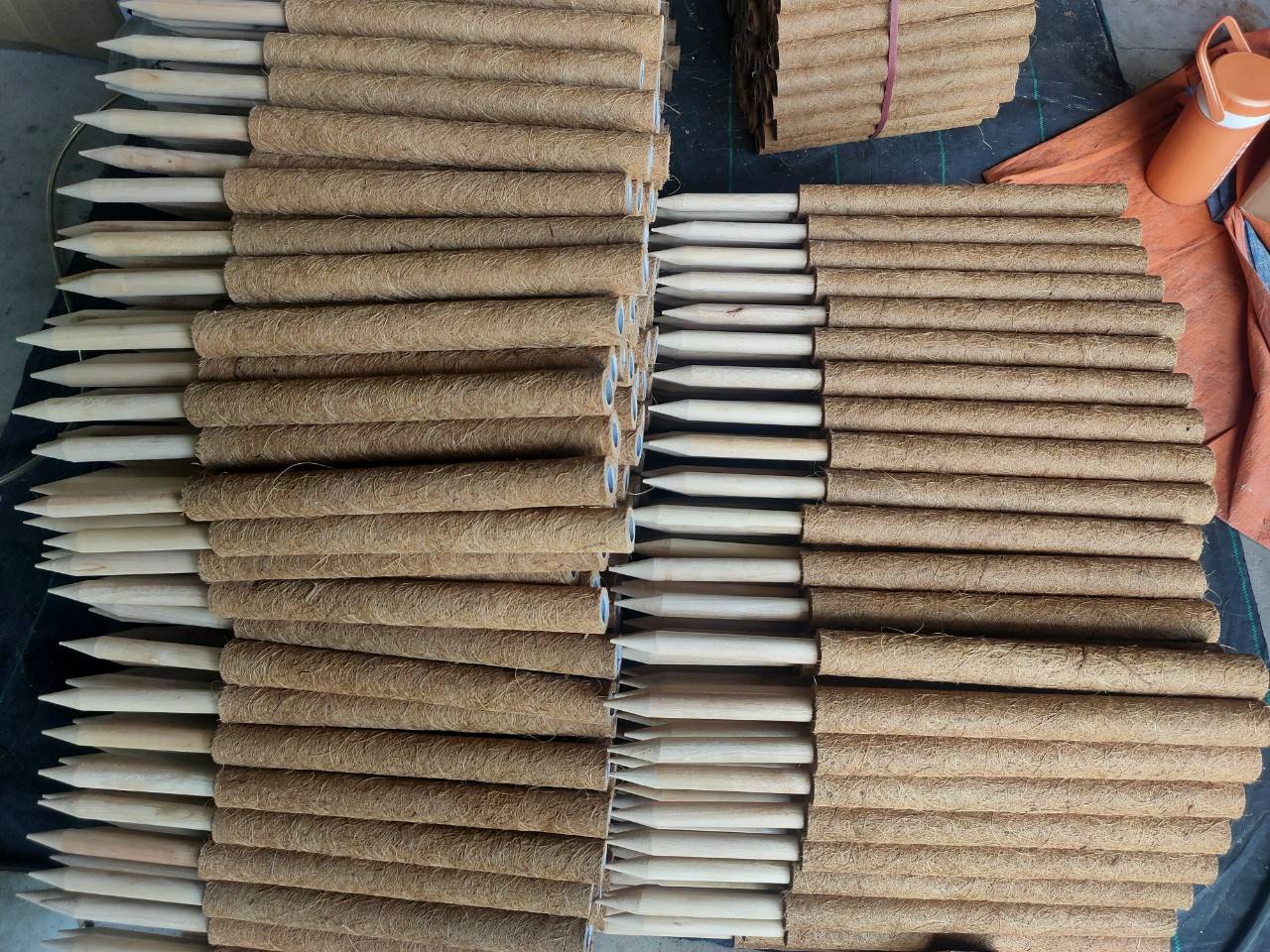 ธรรมชาติ