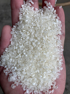 Viet Nam Fresh Organic 4-6mm Hard Texture White Japonica Long <b>Grain</b> Rice 2026 Crop Vilaconic Brand 5% Broken - Product Image 6