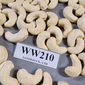 Origine Vietnam Noix sèches Kaju Noix de cajou WW210 SANTIGO Noix et amandes - Product Image 1