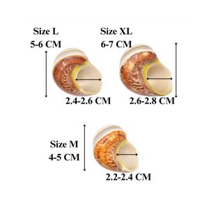 TOP VENTE TENDANCE SEASHELL MULTIPLE MOTIF GRAVÉ COQUILLE DE MER DIFFÉRENTE TAILLE VIETNAM ARTISANAT SEASHELLS VENTE à PRIX RAISONNABLE - Product Image 3